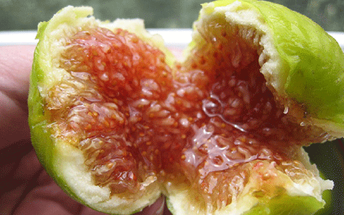 Loại quả xưa không ai thèm nhặt, giờ thành đặc sản tốt như "thuốc quý"- Ảnh 4.