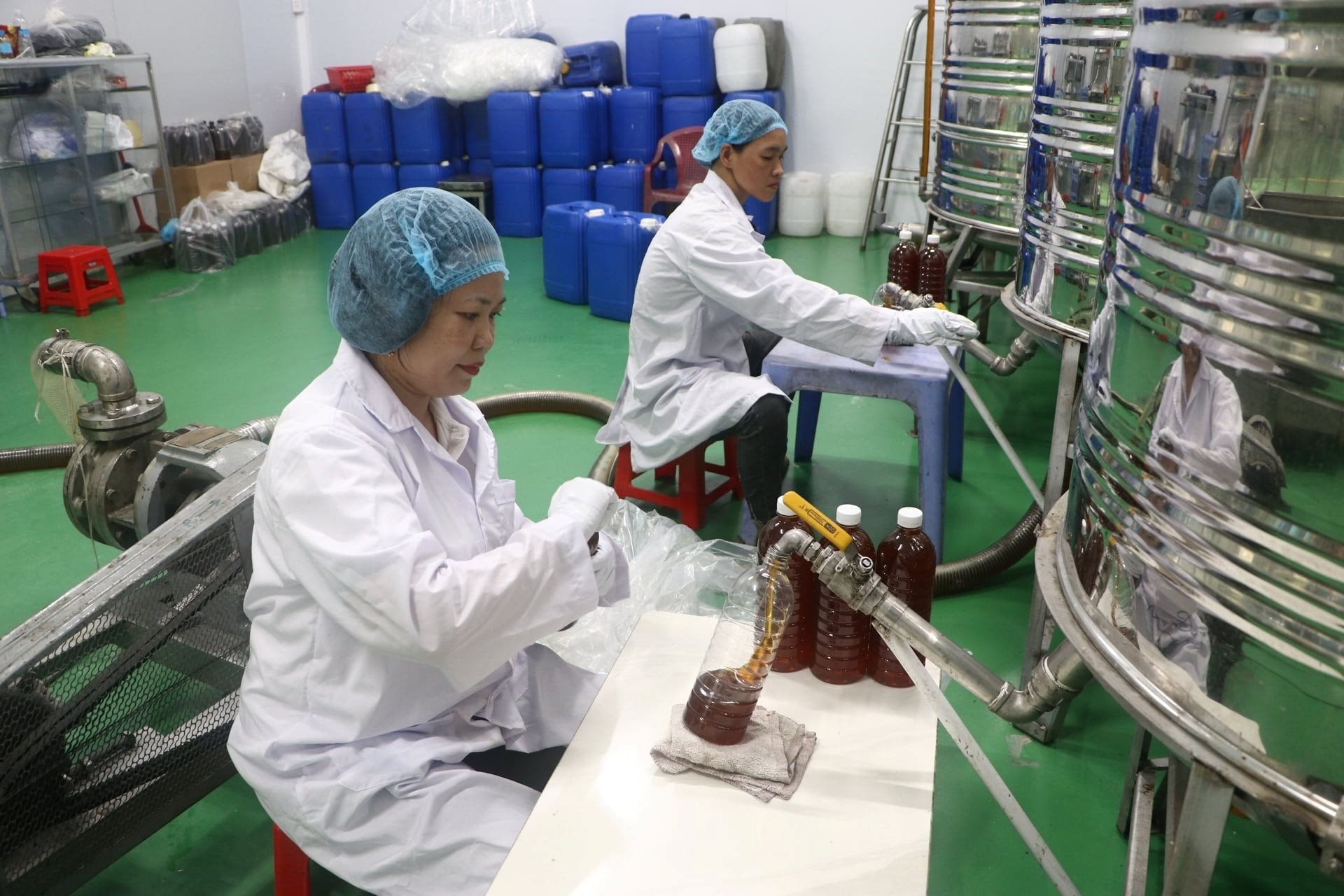 HTX Ong mật Thảo Trinh: Doanh thu 60 tỷ / năm từ nghề nuôi ong tại Tp . HCM - Ảnh 1. HTX Ong mật Thảo Trinh: Doanh thu 60 tỷ / năm từ nghề nuôi ong tại Tp . HCM - Ảnh 1.