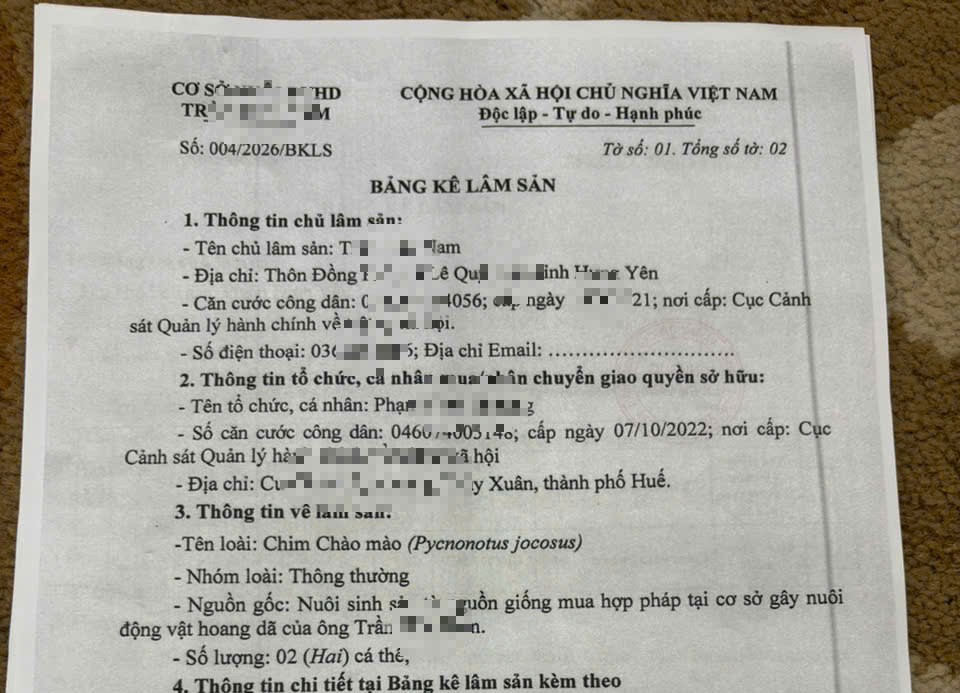 Nuôi chim cảnh hợp pháp tại Huế: Những Điều cần biết và quy định mới năm 2026 - Ảnh 2.
