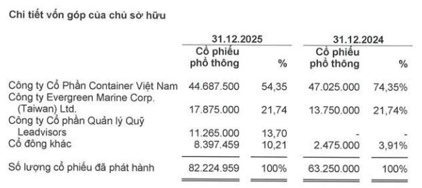 Công ty con của Viconship lên kế hoạch lợi nhuận 'đi lùi', niêm yết cổ phiếu trên HoSE - Ảnh 1.