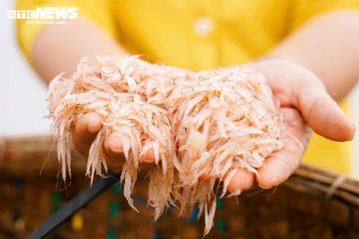 Ngư dân Đông Sơn bội thu ruốc đỏ au gần bờ năm 2026 - Ảnh 5.