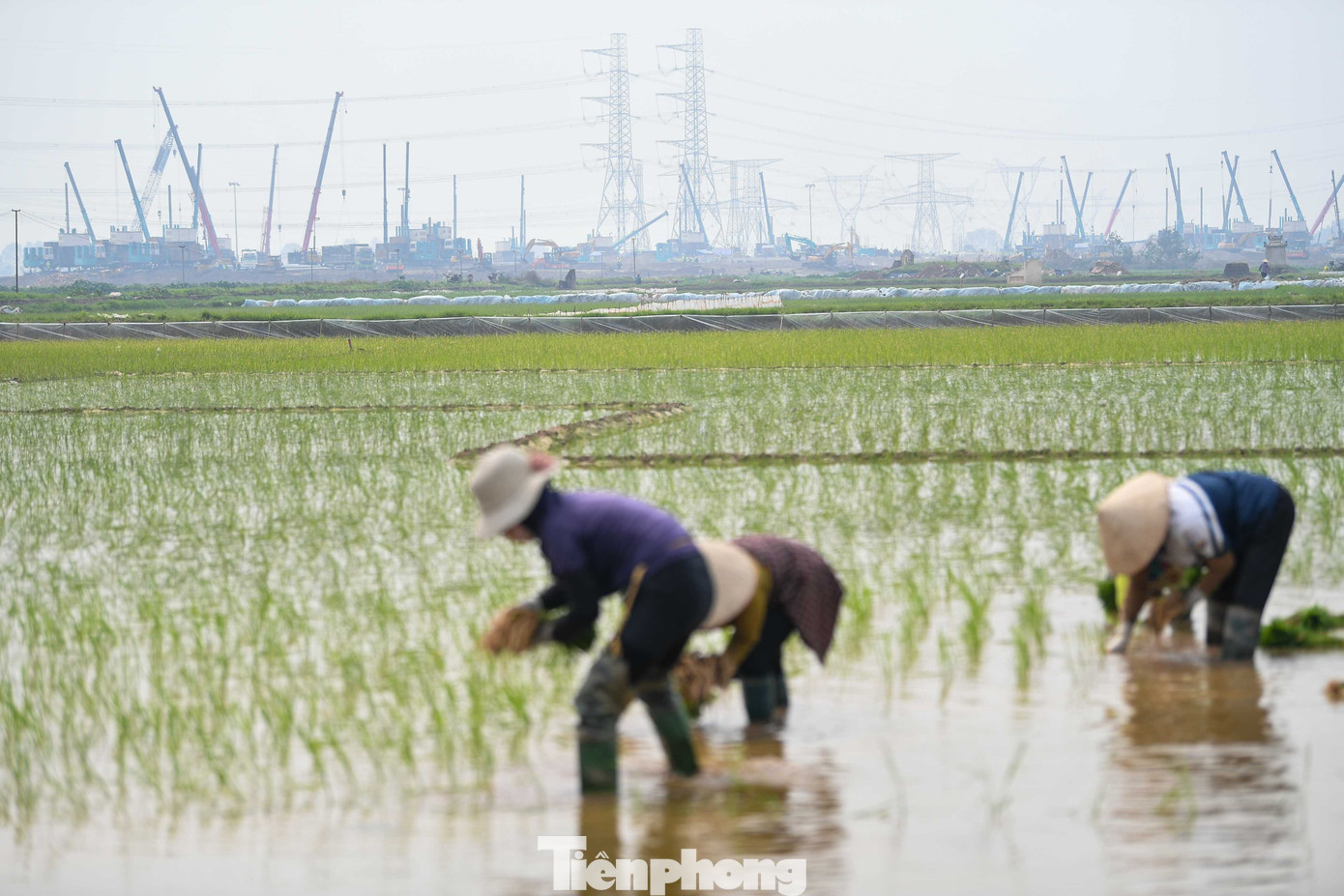 Sân vận động Trống Đồng: Siêu dự án thể thao quy mô lớn tại Hà Nội năm 2026 - Ảnh 7.