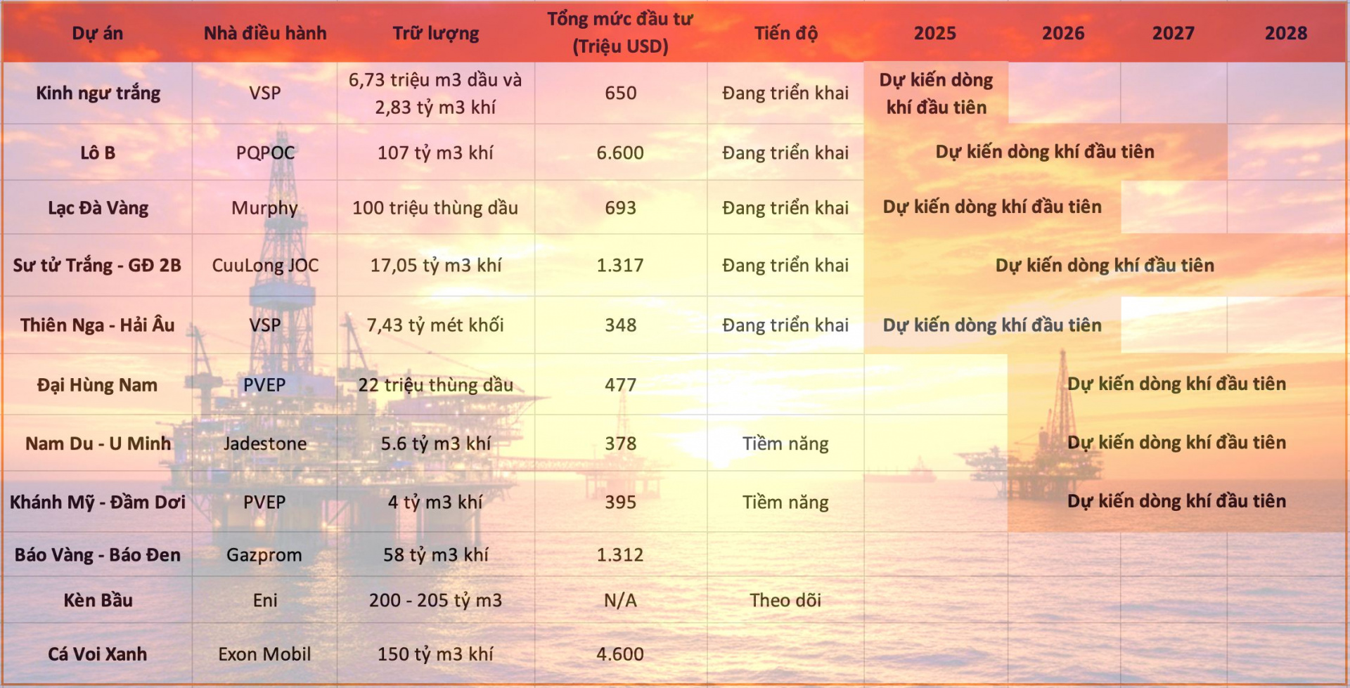Dự án dầu khí Việt Nam 12 tỷ USD với kho báu trữ lượng khổng lồ ngòai khơi - Ảnh 1.