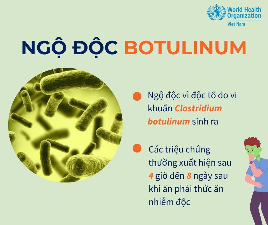 WHO cảnh báo triệu chứng ngộ độc botulinum từ món cá ủ chua quen thuộc - Ảnh 2.