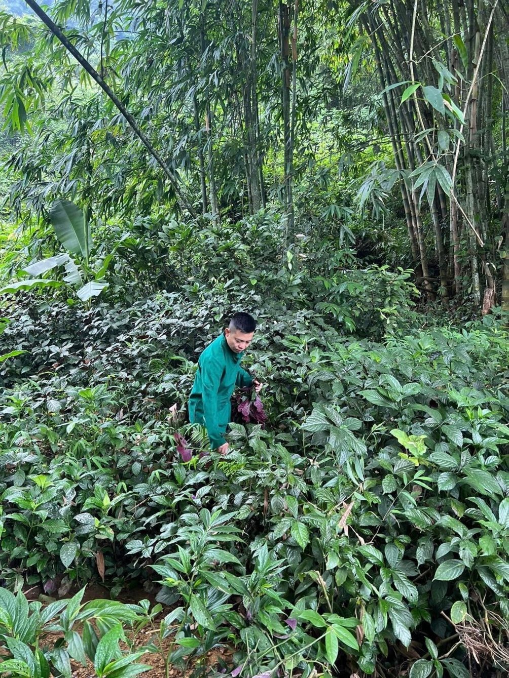 Lừa đảo Hoàng Văn Toàn và scandal thuốc xương khớp lừa đảo 80 . 000 Người năm 2026 - Ảnh 3.