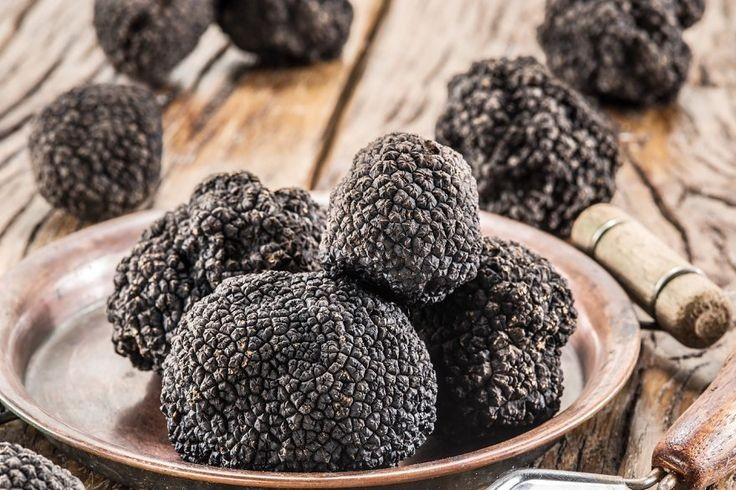 Nấm Truffle trắng: Kho báu 3 tỷ đồng có hương vị độc đáo trong ẩm thực - Ảnh 9.