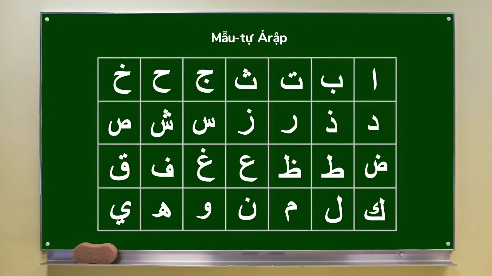 Ngành ngôn ngữ Ả Rập tại Việt Nam: Cơ hội nghề nghiệp và thu nhập hấp dẫn năm 2026 - Ảnh 1.