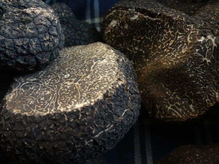 Nấm Truffle trắng: Kho báu 3 tỷ đồng có hương vị độc đáo trong ẩm thực - Ảnh 4.