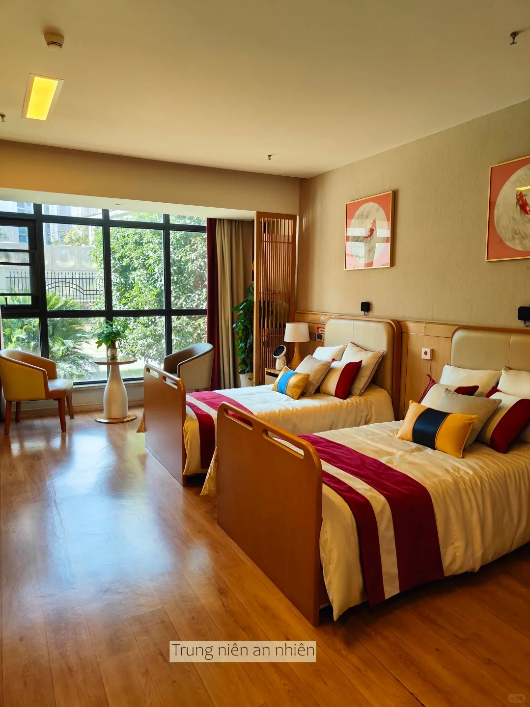 Xuất hiện viện dưỡng lão phòng như chung cư, giá phòng từ hơn 16 triệu đồng/tháng, - Ảnh 1.