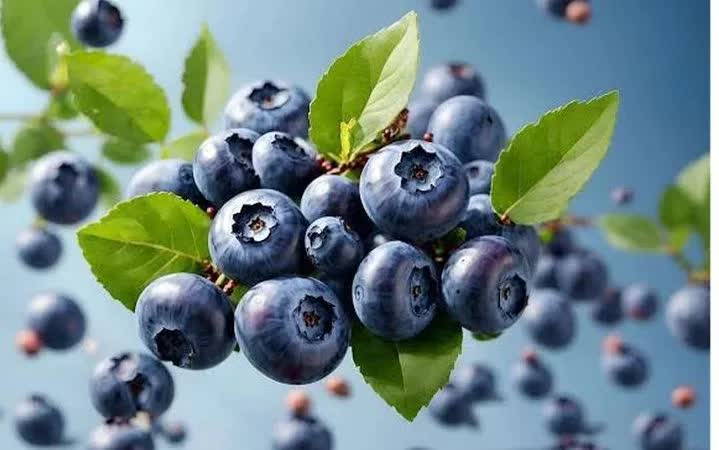 Thực phẩm m&agrave;u t&iacute;m v&agrave; anthocyanin gi&uacute;p trẻ h&oacute;a l&agrave;n da tự nhi&ecirc;n từ b&ecirc;n trong - Ảnh 1.