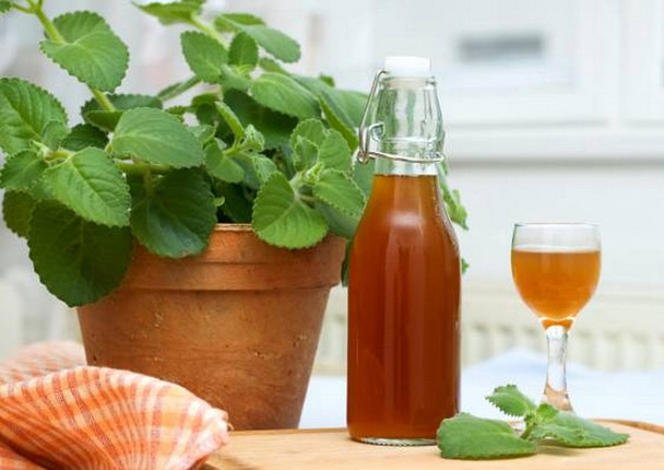 Những loại rau gia vị tốt nhất, đem lại nhiều lợi ích cho sức khỏe - Ảnh 4.