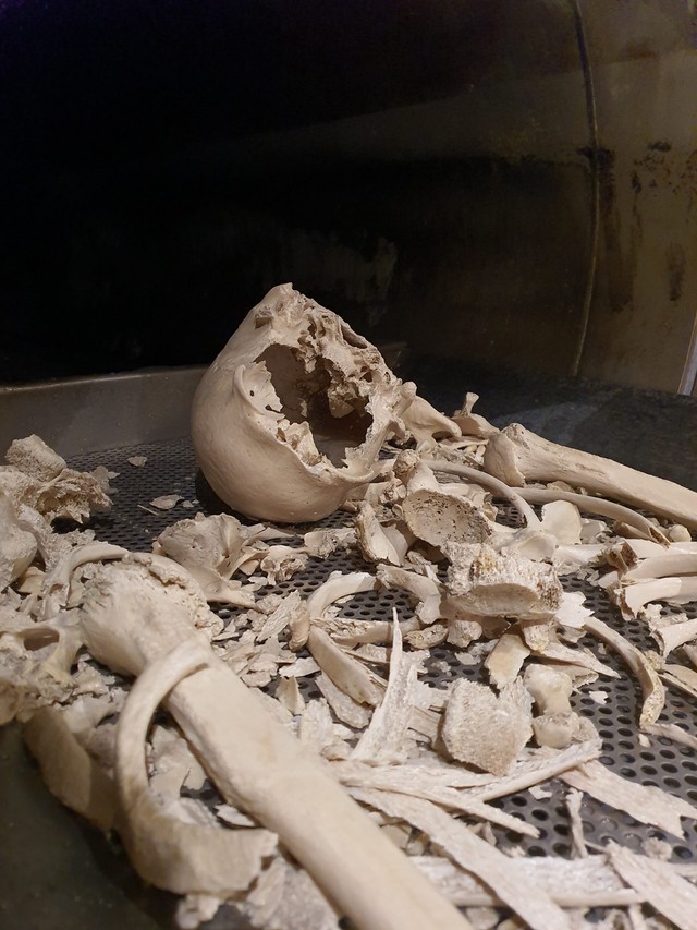 Phương pháp mai táng thủy táng: Tương lai xanh hay nỗi ám ảnh đáng sợ? - Ảnh 5. Phương pháp mai táng thủy táng: Tương lai xanh hay nỗi ám ảnh đáng sợ? - Ảnh 5.