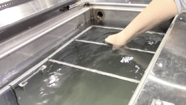 Phương pháp mai táng thủy táng: Tương lai xanh hay nỗi ám ảnh đáng sợ? - Ảnh 4. Phương pháp mai táng thủy táng: Tương lai xanh hay nỗi ám ảnh đáng sợ? - Ảnh 4.