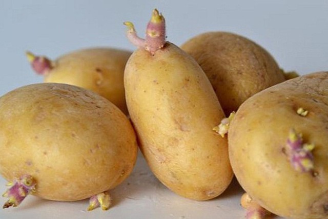 6 món ăn sinh hóa chất tàn phá cơ thể, dù rửa sạch hay đun sôi 100 độ C cũng vô tác dụng - Ảnh 2.