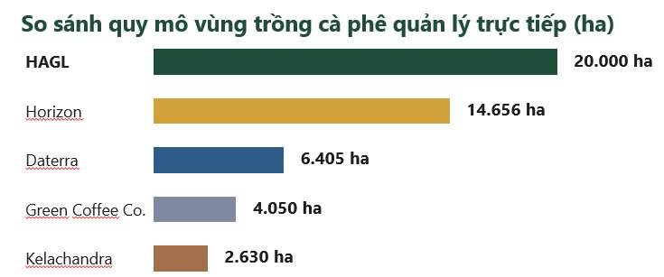 HAGL công bố xây vùng cà phê 20 . 000 Ha lớn nhất thế giới dự kiến doanh thu 19 . 000 Tỷ / năm - Ảnh 2. HAGL công bố xây vùng cà phê 20 . 000 Ha lớn nhất thế giới dự kiến doanh thu 19 . 000 Tỷ / năm - Ảnh 2.