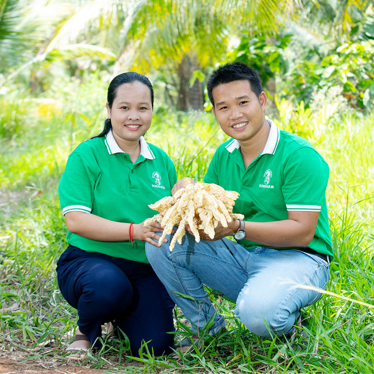Vợ chồng Thạc sĩ bỏ phố về quê lập nghiệp "mát-xa hoa dừa": Thu 30 tỷ/năm, xuất khẩu loạt nước lớn - Ảnh 1.