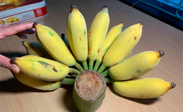 Cảnh báo đặc biệt tới các gia đình đang bày chuối ngày Tết - Ảnh 3.