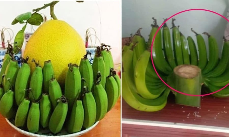 Cảnh báo đặc biệt tới các gia đình đang bày chuối ngày Tết - Ảnh 2.