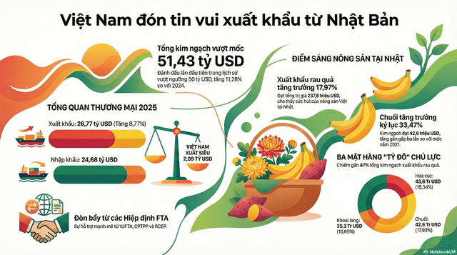 Việt Nam vừa đón một tin vui từ Nhật Bản - Ảnh 2.