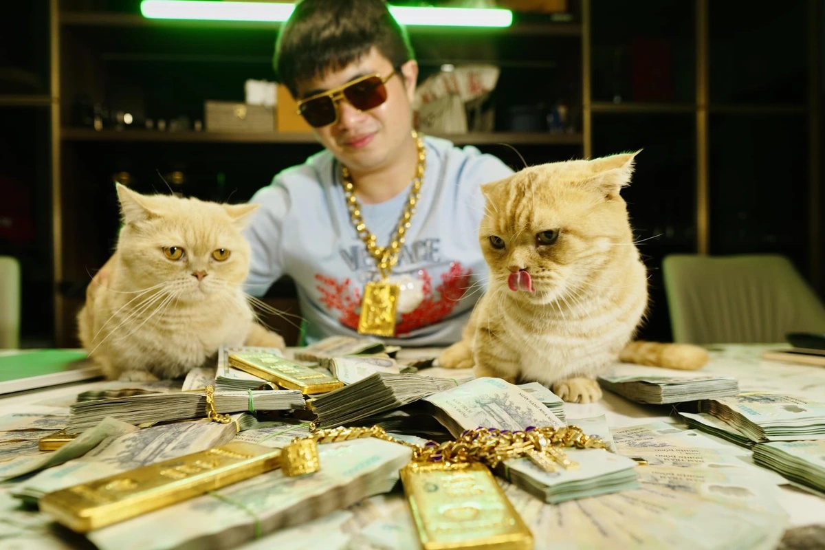 Khối tài sản khổng lồ của Mr Pips bị kê biên trong vụ lừa đảo tài chính 2026 - Ảnh 1. Khối tài sản khổng lồ của Mr Pips bị kê biên trong vụ lừa đảo tài chính 2026 - Ảnh 1.