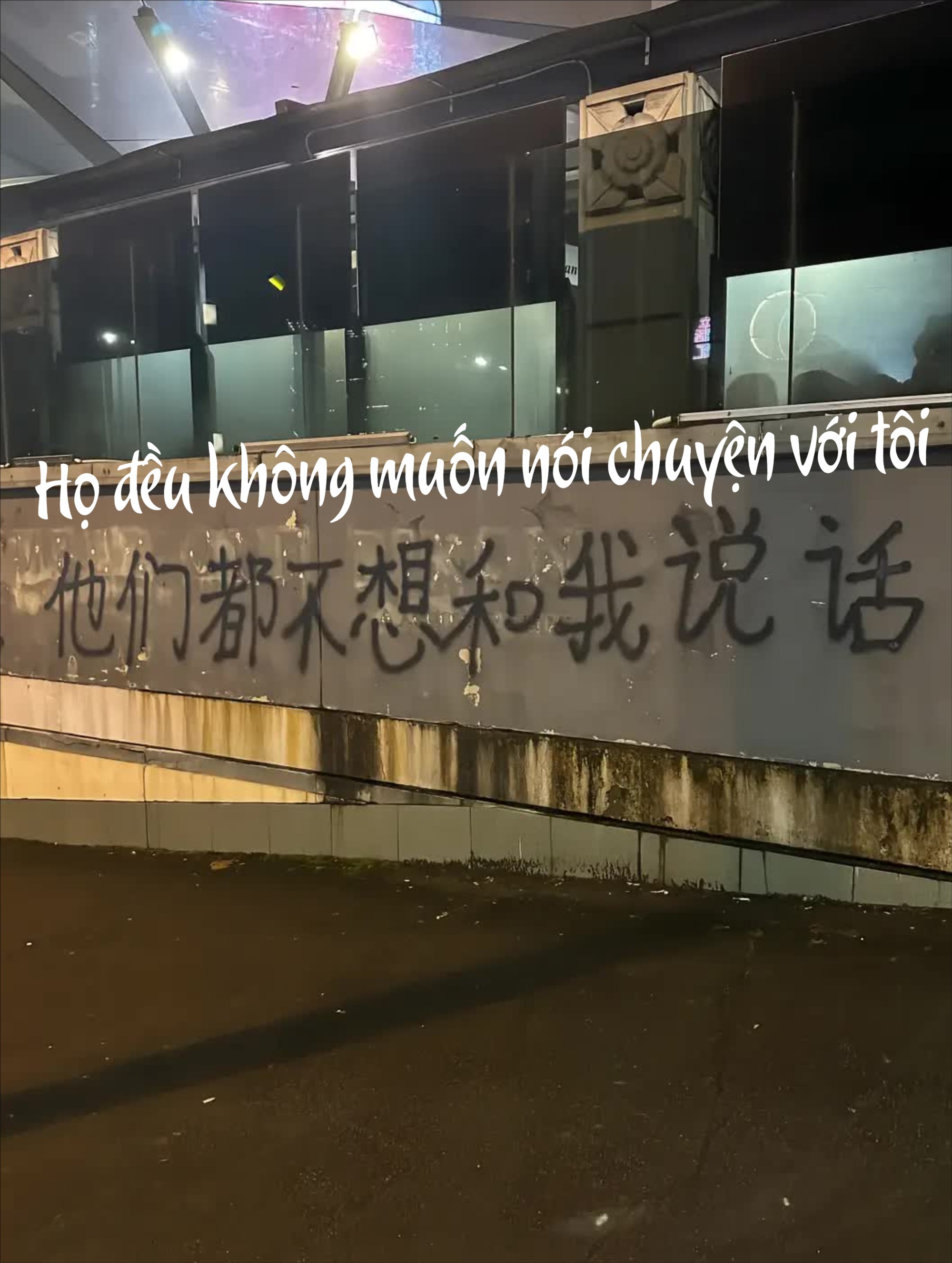 Dòng chữ trên bức tường ở Sydney làm hàng triệu du học sinh "vụn vỡ": Hóa ra một mình mới là bài học đắt giá nhất - Ảnh 2.