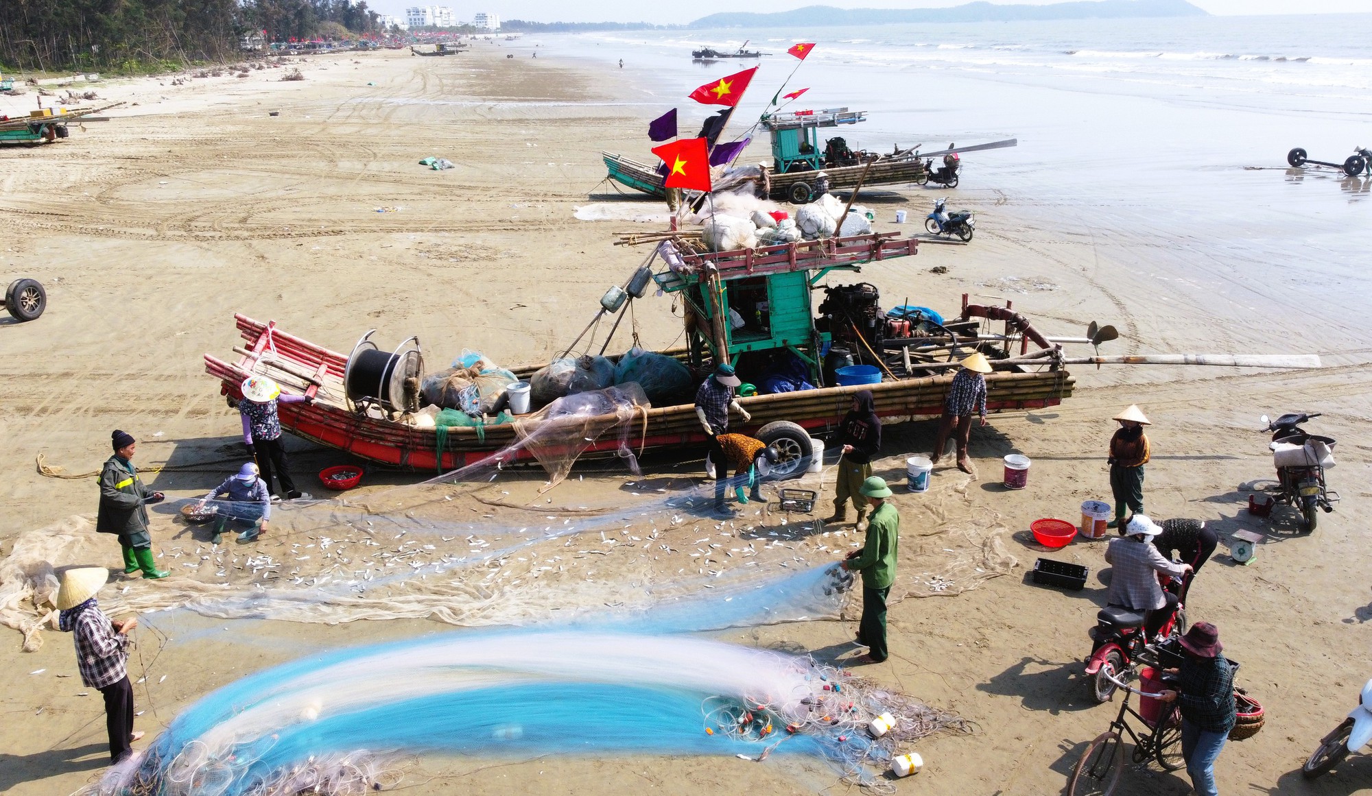 Ngư dân Thanh Hóa kiếm tiền triệu mỗi ngày mùa cá trích - Ảnh 2.