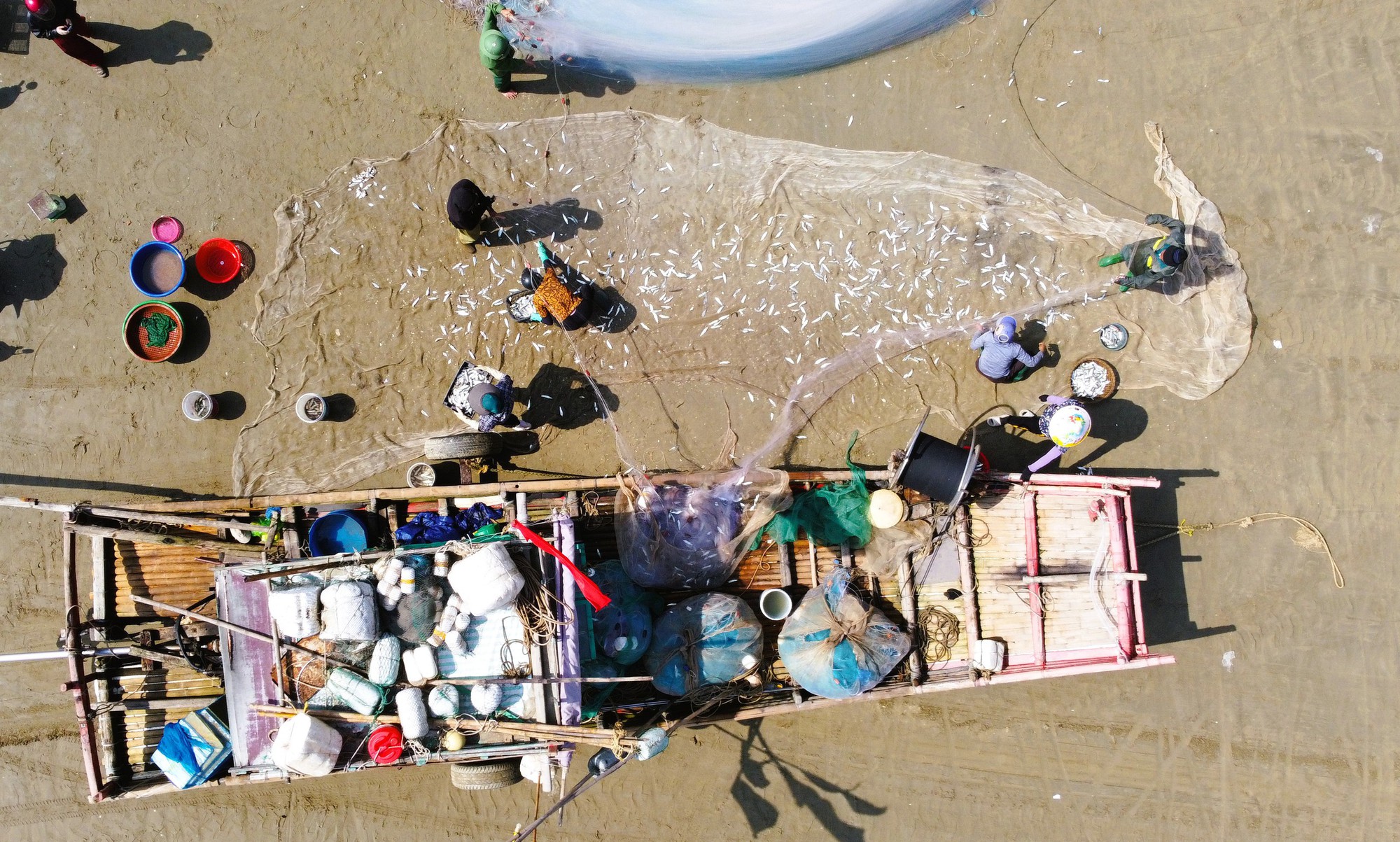 Ngư dân Thanh Hóa kiếm tiền triệu mỗi ngày mùa cá trích - Ảnh 11.