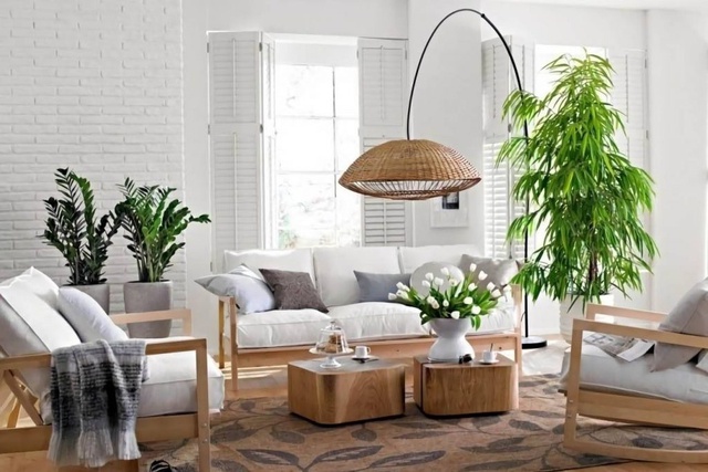 7 loại cây đặt đúng chỗ là "kéo tiền về": Nhiều người trồng sai nên không giàu lên được - Ảnh 1.