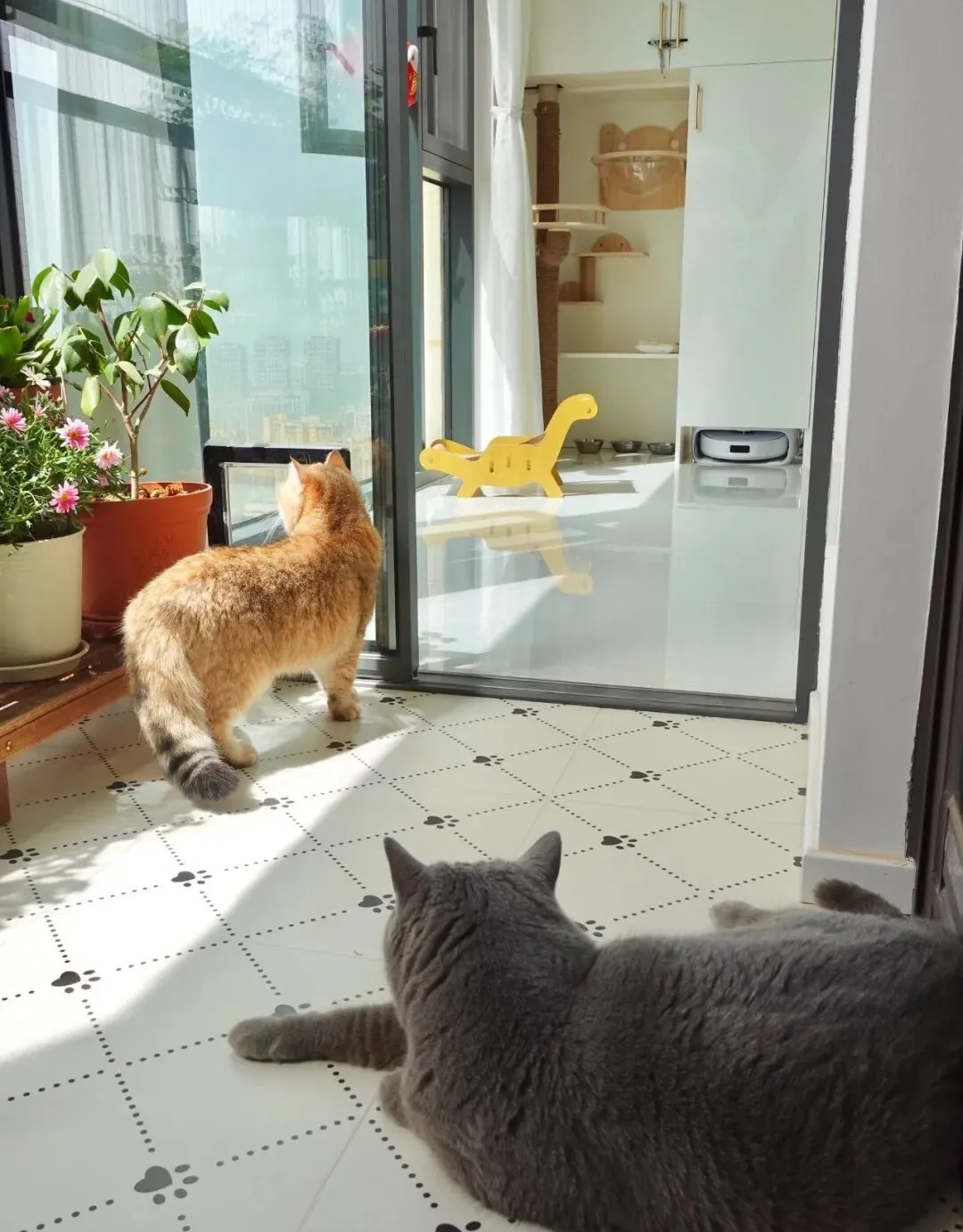 Cải tạo ban công 8m2 độc đáo , không gian sống tuyệt vời cho gia đình bạn - Ảnh 5. Cải tạo ban công 8m2 độc đáo , không gian sống tuyệt vời cho gia đình bạn - Ảnh 5.