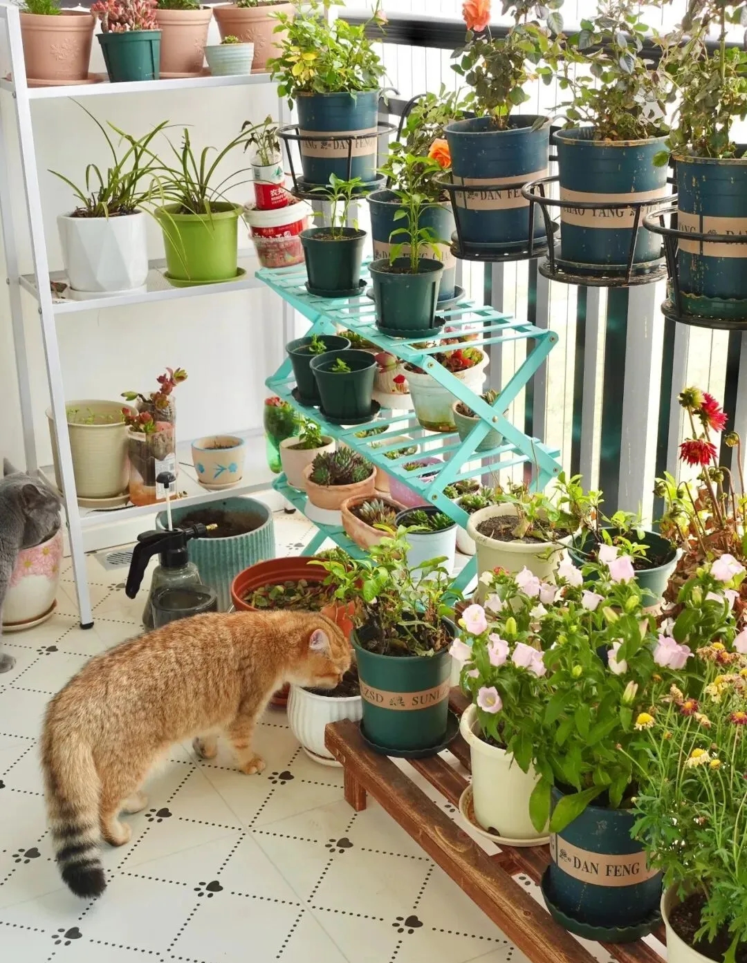 Cải tạo ban công 8m2 độc đáo , không gian sống tuyệt vời cho gia đình bạn - Ảnh 6. Cải tạo ban công 8m2 độc đáo , không gian sống tuyệt vời cho gia đình bạn - Ảnh 6.