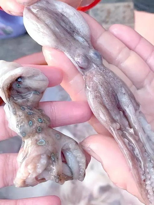 Những thực phẩm độc hại đe dọa sức khỏe không thể giải độc dù nấu ở 120 độ C - Ảnh 2. Những thực phẩm độc hại đe dọa sức khỏe không thể giải độc dù nấu ở 120 độ C - Ảnh 2.