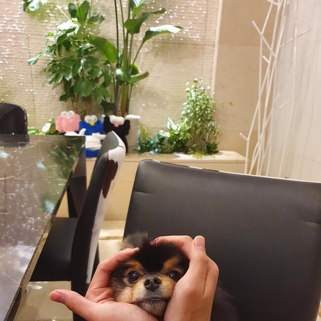 BĐS của 7 “đấng” BTS: Từ Seoul vươn dài đến Mỹ, mỗi cơ ngơi đều là 1 tuyên ngôn đẳng cấp toàn cầu- Ảnh 8.