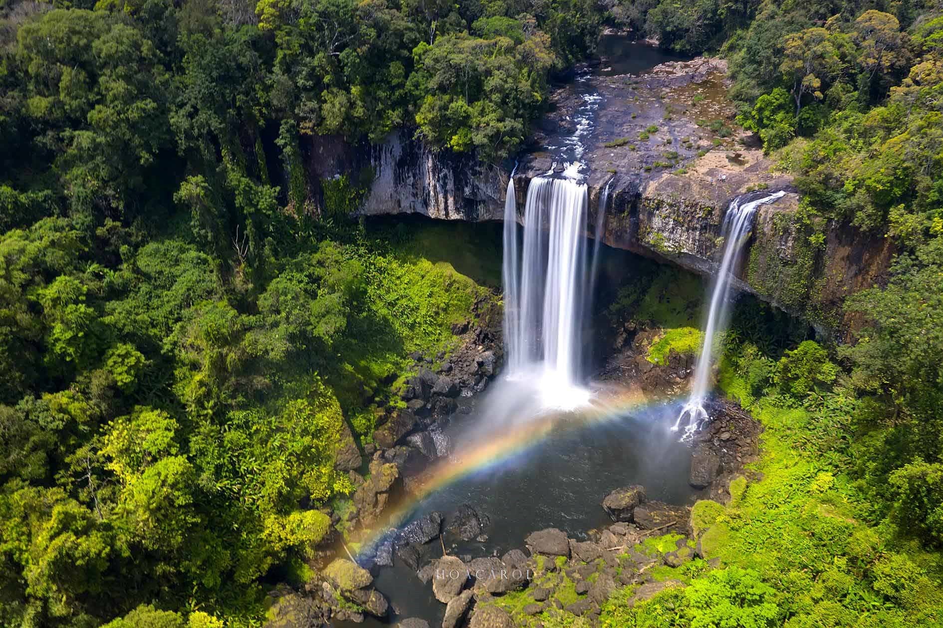 Gia Lai du lịch 2026: Viên ngọc qúy mới của du lịch Việt với biển và rừng - Ảnh 8. Gia Lai du lịch 2026: Viên ngọc qúy mới của du lịch Việt với biển và rừng - Ảnh 8.