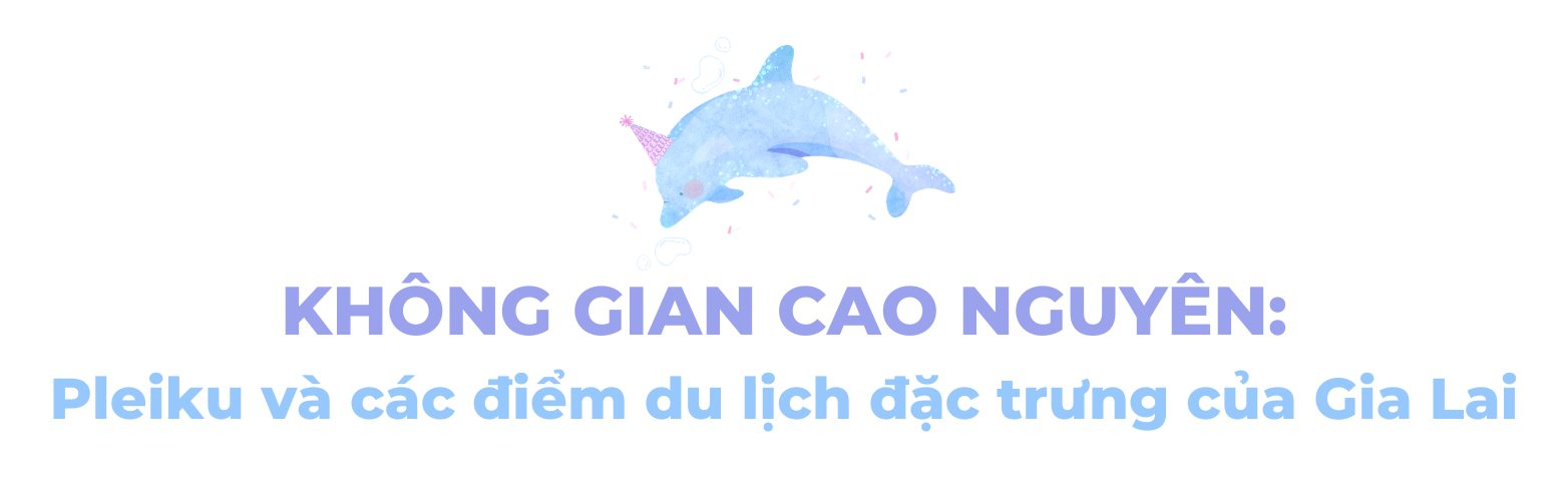 Gia Lai du lịch 2026: Viên ngọc qúy mới của du lịch Việt với biển và rừng - Ảnh 7. Gia Lai du lịch 2026: Viên ngọc qúy mới của du lịch Việt với biển và rừng - Ảnh 7.