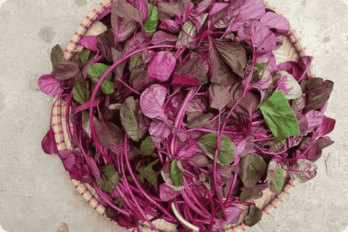 Loại rau bổ ngang thịt bò, trời Tây quý như "vàng" không ngờ mọc đầy Việt Nam - Ảnh 1.