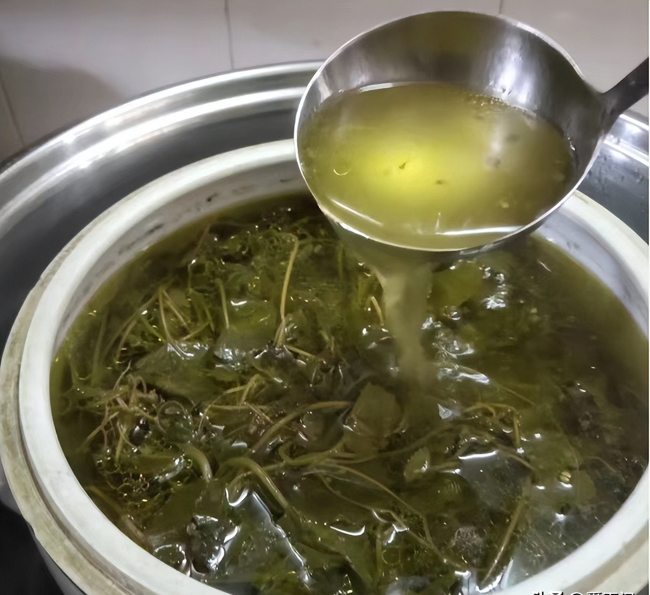 4 Món ăn thanh nhiệt cơ thể từ rau má giúp bổ gan và cải thiện thị lực - Ảnh 7. 4 Món ăn thanh nhiệt cơ thể từ rau má giúp bổ gan và cải thiện thị lực - Ảnh 7.