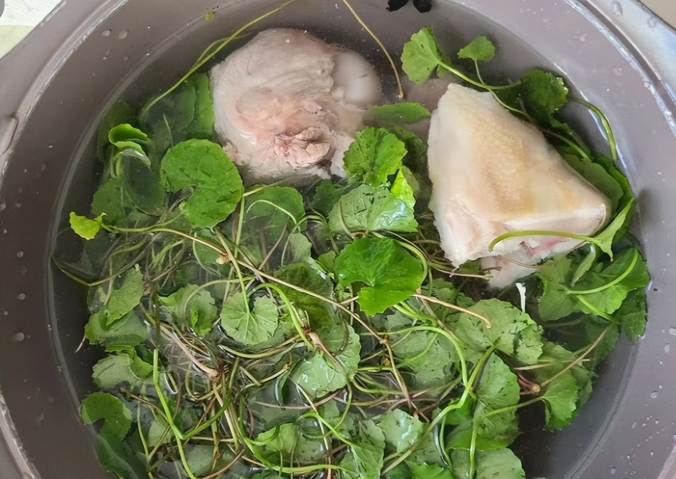 4 Món ăn thanh nhiệt cơ thể từ rau má giúp bổ gan và cải thiện thị lực - Ảnh 10. 4 Món ăn thanh nhiệt cơ thể từ rau má giúp bổ gan và cải thiện thị lực - Ảnh 10.