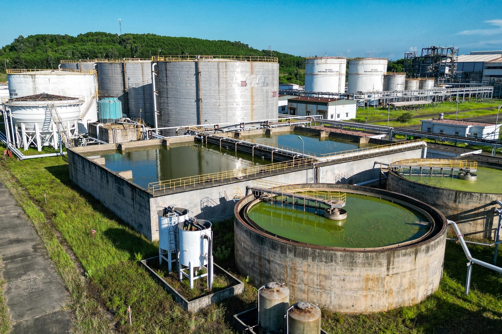 Khai mở "mỏ vàng trắng" ngay dưới chân người nông dân Việt: Cơ hội lớn chưa từng có từ tháng 4/2026 - Ảnh 2.