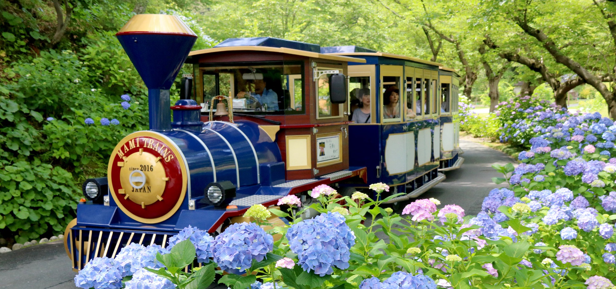 Trải nghiệm du lịch Nhật Bản 2026 với Bức tường tuyết 20m ấn tượng và văn hóa độc đáo - Ảnh 8. Trải nghiệm du lịch Nhật Bản 2026 với Bức tường tuyết 20m ấn tượng và văn hóa độc đáo - Ảnh 8.