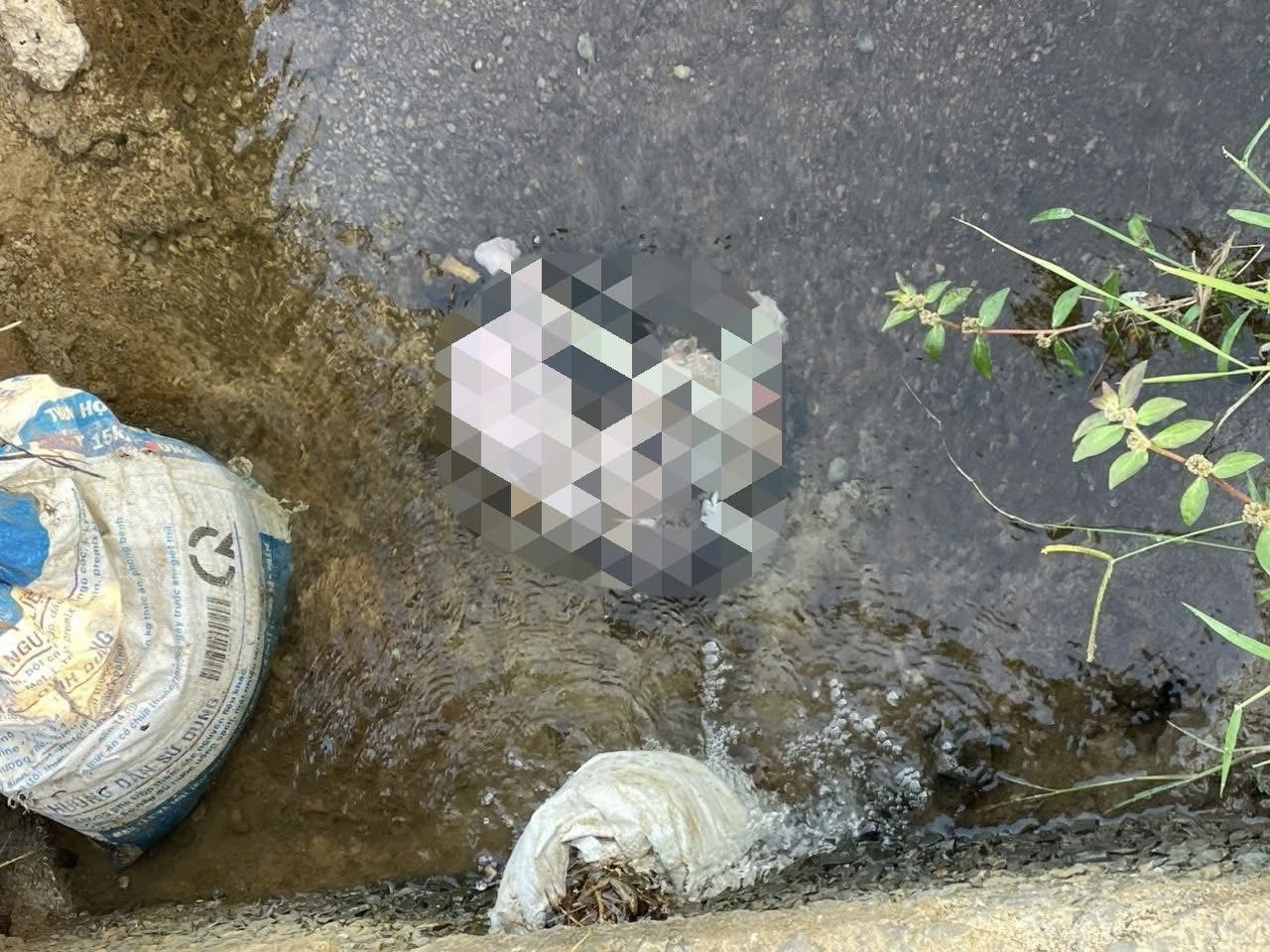 TPHCM: Phát hiện thi thể bé trai sơ sinh bên mương nước - Ảnh 1. TPHCM: Phát hiện thi thể bé trai sơ sinh bên mương nước - Ảnh 1.