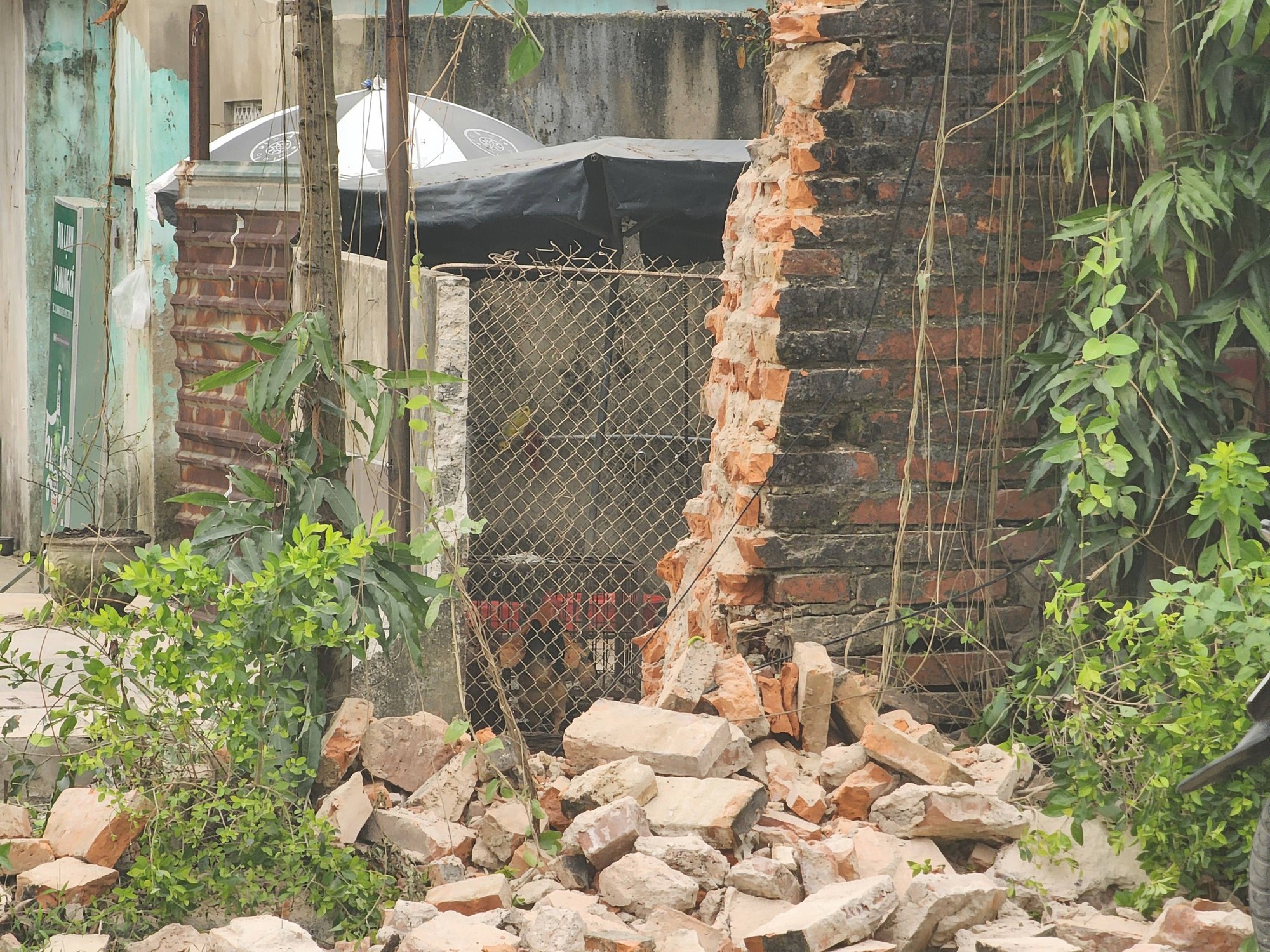 Lý do "bức tường ô nhục" trong Kinh thành Huế được tháo dở - Ảnh 1.