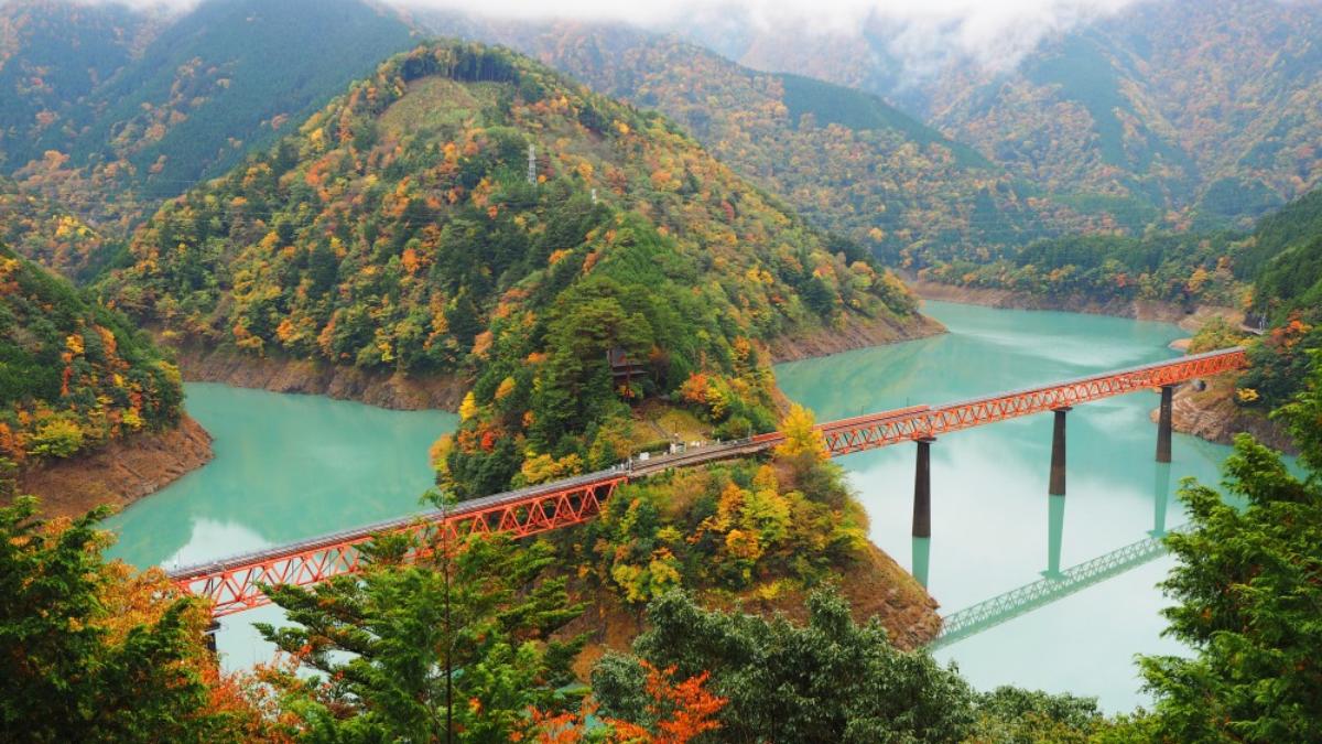 Trải nghiệm du lịch Nhật Bản 2026 với Bức tường tuyết 20m ấn tượng và văn hóa độc đáo - Ảnh 7. Trải nghiệm du lịch Nhật Bản 2026 với Bức tường tuyết 20m ấn tượng và văn hóa độc đáo - Ảnh 7.