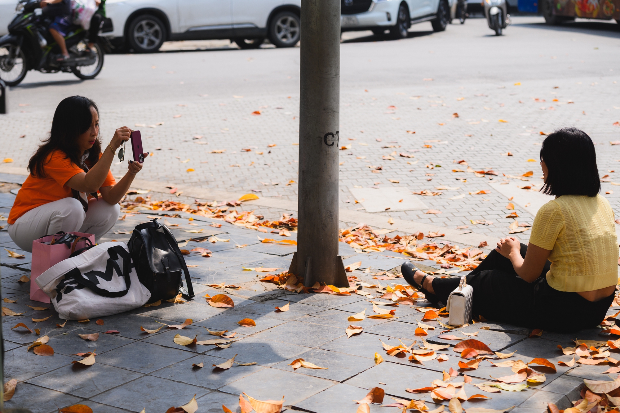 Tháng Giêng Hà Nội rực rỡ hoa nở , trải nghiệm sống tuyệt vời mùa xuân 2026 - Ảnh 21. Tháng Giêng Hà Nội rực rỡ hoa nở , trải nghiệm sống tuyệt vời mùa xuân 2026 - Ảnh 21.