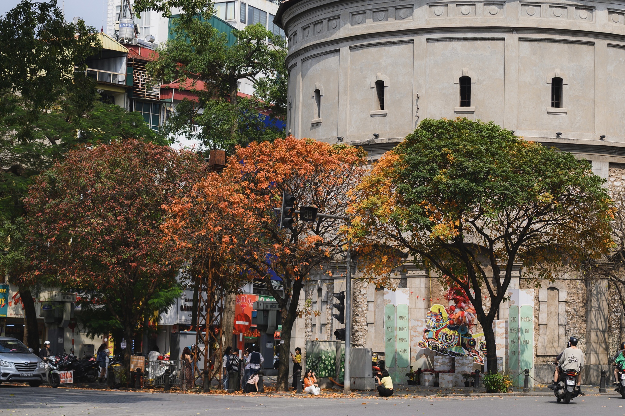 Tháng Giêng Hà Nội rực rỡ hoa nở , trải nghiệm sống tuyệt vời mùa xuân 2026 - Ảnh 4. Tháng Giêng Hà Nội rực rỡ hoa nở , trải nghiệm sống tuyệt vời mùa xuân 2026 - Ảnh 4.