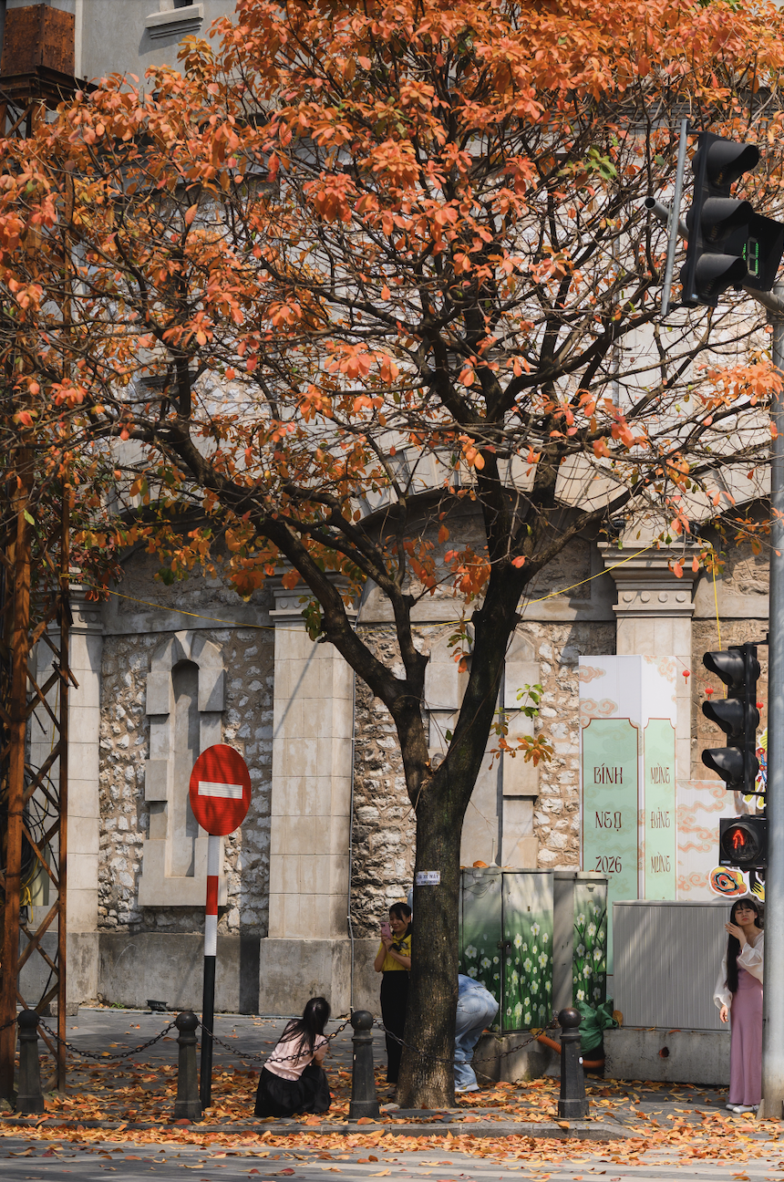 Tháng Giêng Hà Nội rực rỡ hoa nở , trải nghiệm sống tuyệt vời mùa xuân 2026 - Ảnh 19. Tháng Giêng Hà Nội rực rỡ hoa nở , trải nghiệm sống tuyệt vời mùa xuân 2026 - Ảnh 19.