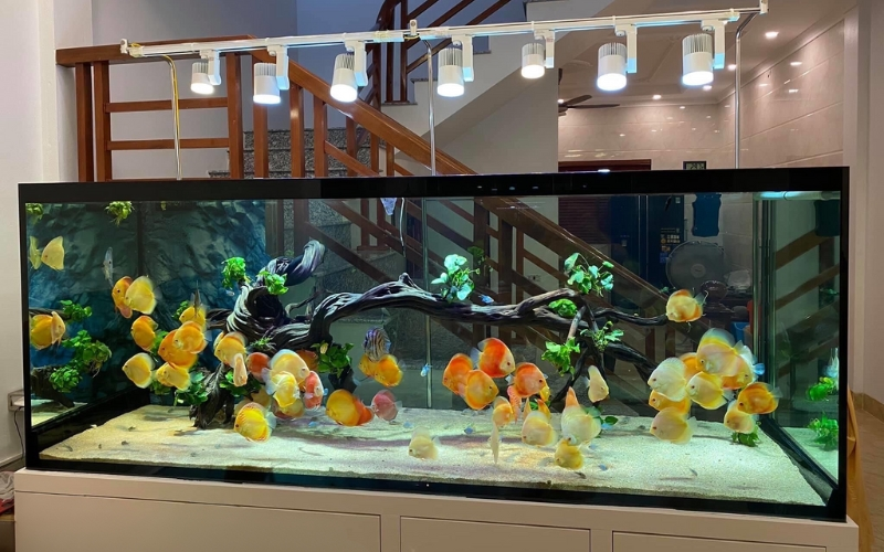 Không gian sống lý tưởng với vật trang trí phòng khách mang vượng khí cho gia đình - Ảnh 2. Không gian sống lý tưởng với vật trang trí phòng khách mang vượng khí cho gia đình - Ảnh 2.