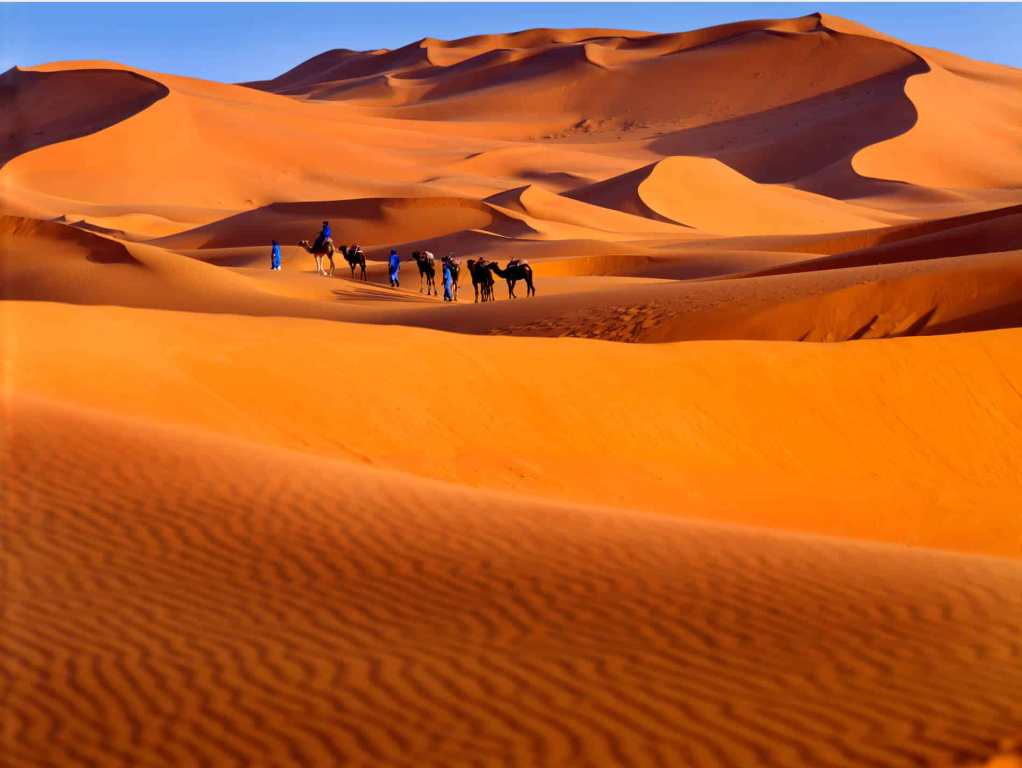 Cát sa mạc bỗng biến thành thủy tinh: Chuyên gia vào cuộc tìm thấy nguồn nhiệt đến từ nơi bất ngờ - Ảnh 1.