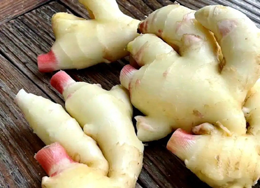 7 Lọai rau ít thuốc trừ sâu cần mua ngay cho bữa ăn an toàn và bổ dưỡng - Ảnh 2. 7 Lọai rau ít thuốc trừ sâu cần mua ngay cho bữa ăn an toàn và bổ dưỡng - Ảnh 2.