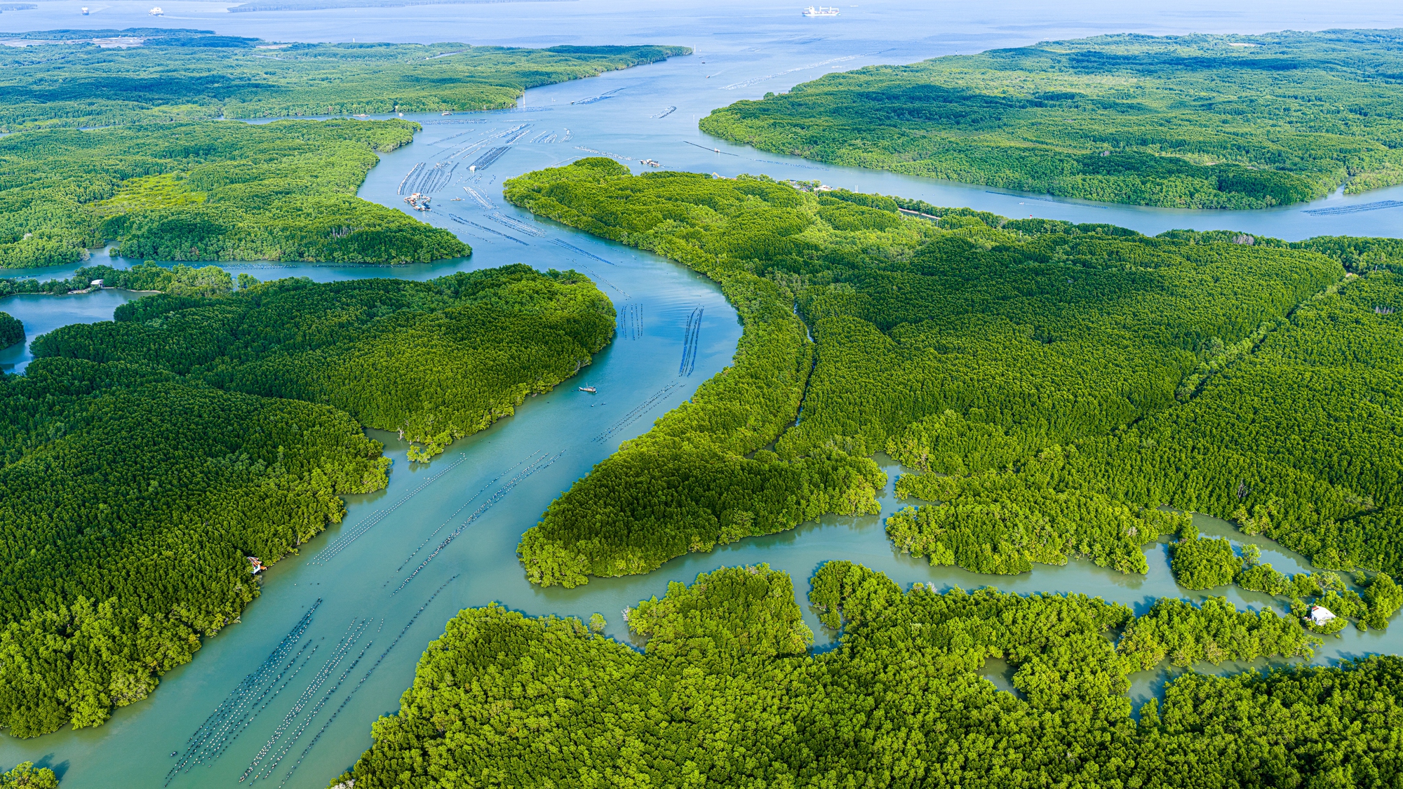 Tour trực thăng TPHCM chính thức đón khách , trải nghiệm ngắm thành phố từ trên cao - Ảnh 4.