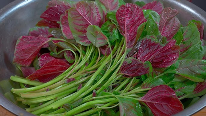 10 loại rau củ hoàn toàn KHÔNG cần phun thuốc trừ sâu vì quá ít bị sâu bọ, mua ngoài chợ cũng an tâm hơn- Ảnh 1.